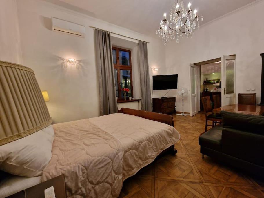 In The Center! Apartament